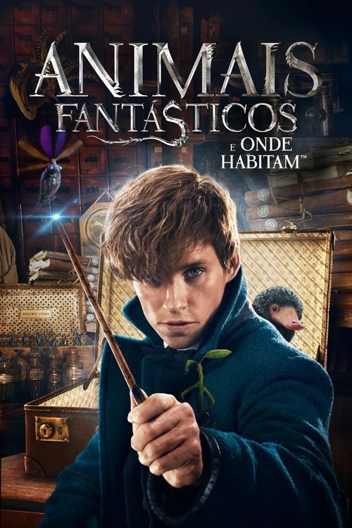 Pôster do filme Animais Fantásticos e Onde Habitam